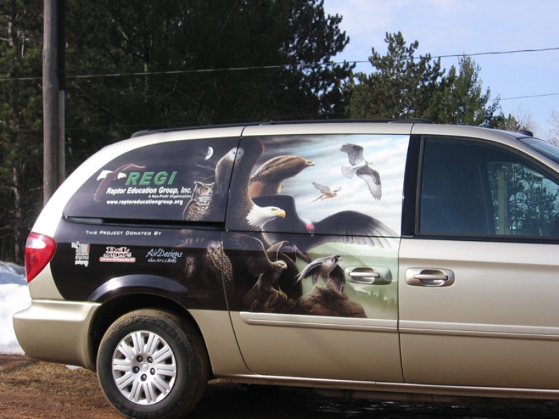 REGI Vehicle Graphics